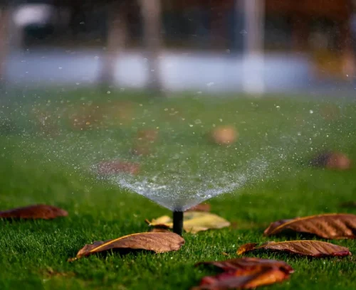irrigation sprinkler install bottom tampa heights fl