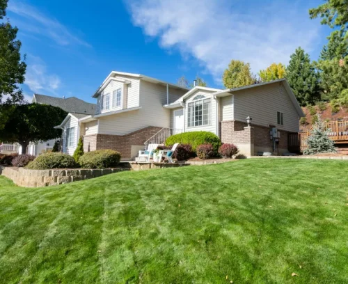 landscape lawn cleaning bottom tampa heights fl