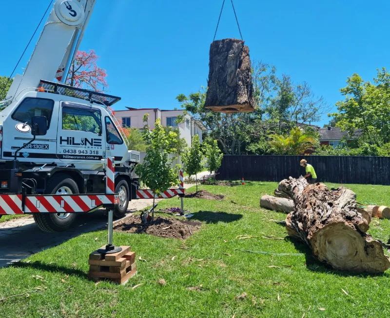 tree removal services tampa heights fl